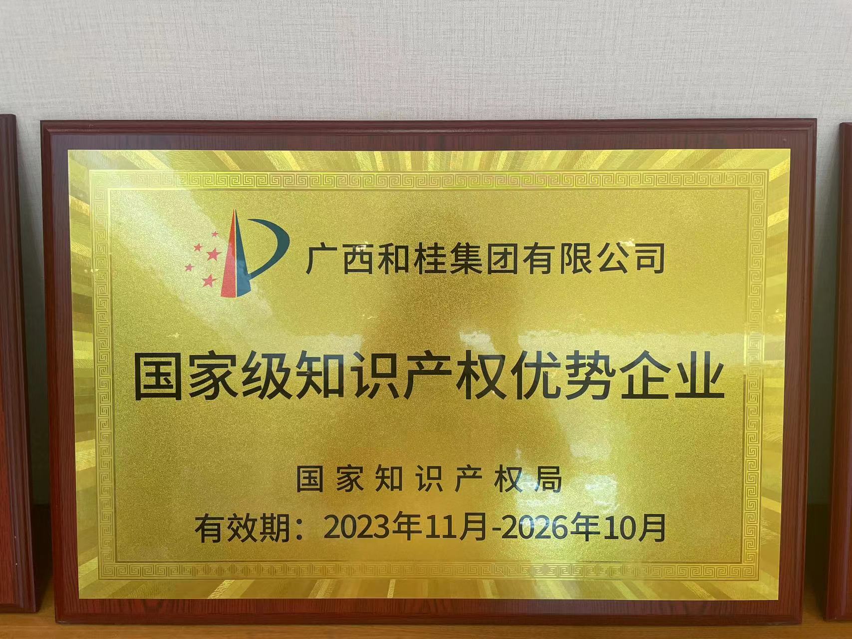 國家級知識產(chǎn)權(quán)優(yōu)勢企業(yè)